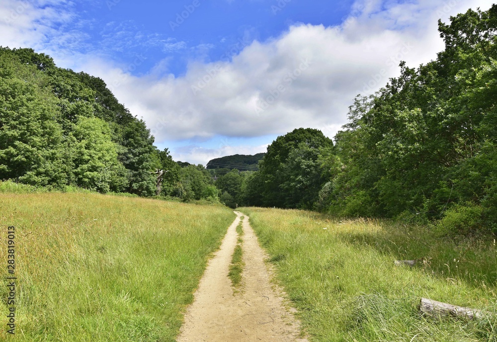 Path through fields to Magdale  Honley Huddersfield Yorkshire England 05/07/2019 by Roy Hinchliffe