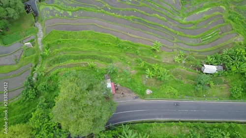 Roads and Rice Terrace - Wide View - Bali photo