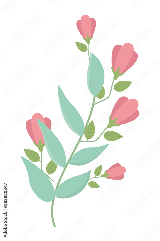 Isolated rustic leaves and flowers design Isolated rustic leaves and flowers design