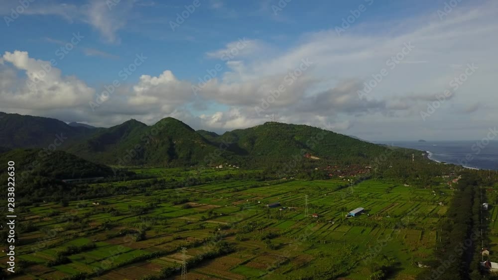 Rice Terrace And Mountains - Wide View - Bali 1 Rice Terrace And Mountains - Wide View - Bali 1
