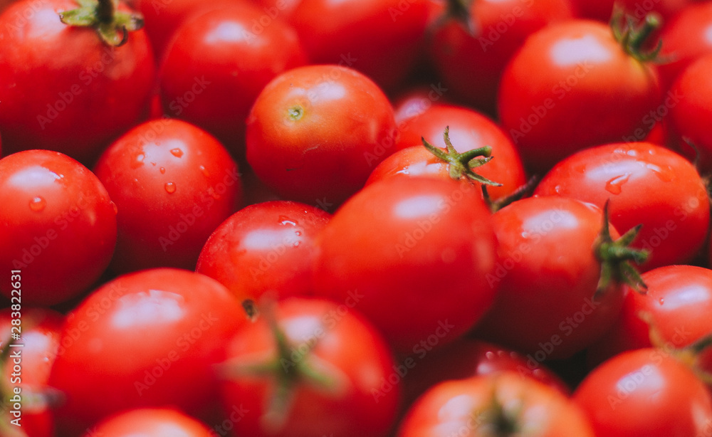 Fresh small cherry tomato. Freshly picked organic cherry tomatoes. Small red tomatoes.