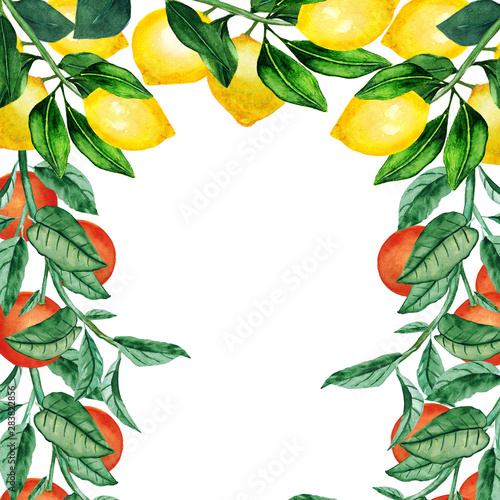 Watercolor hand painted fruits, lemons and tangerines on a branch of wedding invitations, cards.
