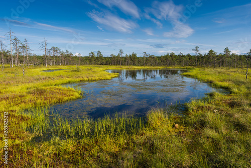 Viru bog in Lahemaa National Park  Estonia