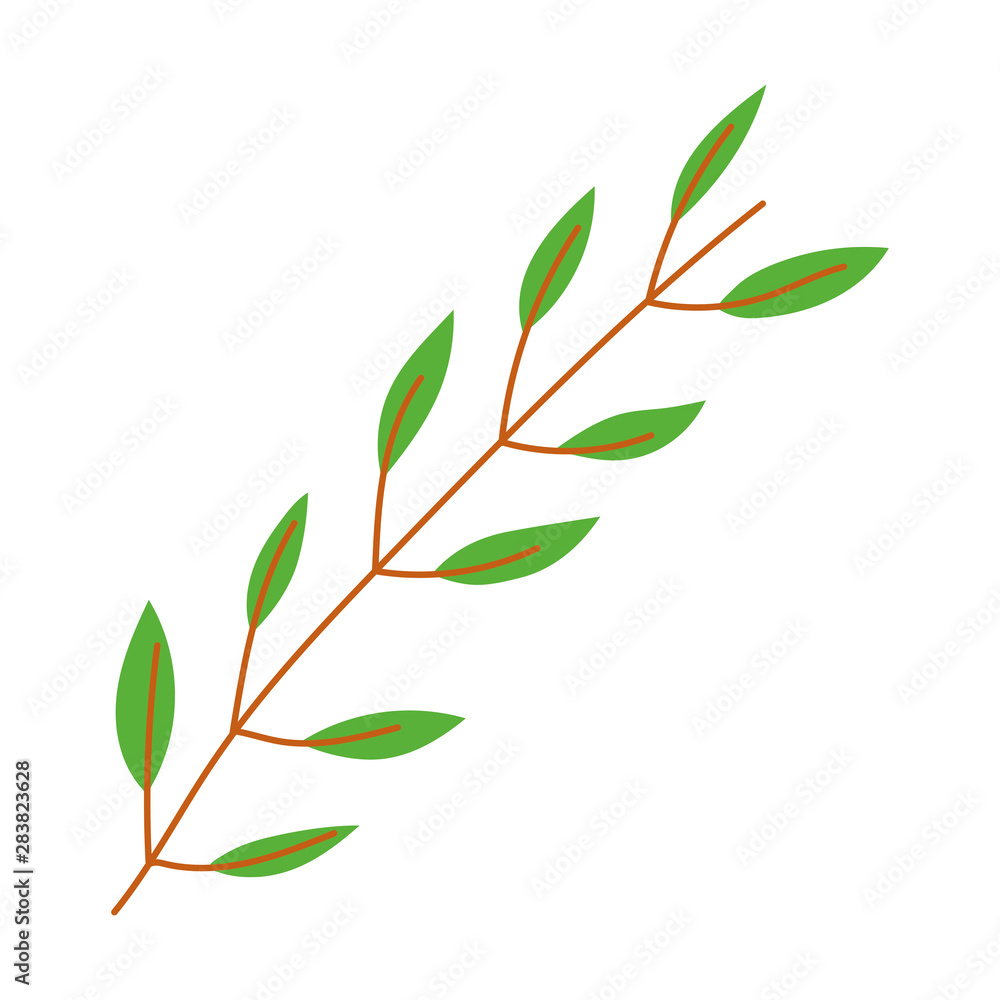 Isolated leaves vector design vector illustration