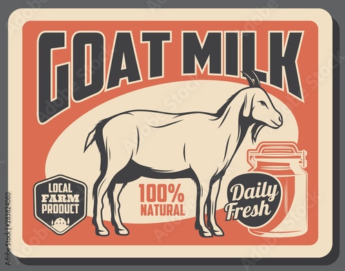 Farm dairy goat milk products, cattle farming