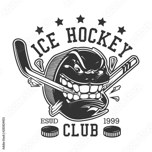 Ice hockey sport club, puck teeth break stick