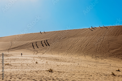 Close-up of a flat rock laying in the Namibian desert between sossusvlei and Deadvlei. photo