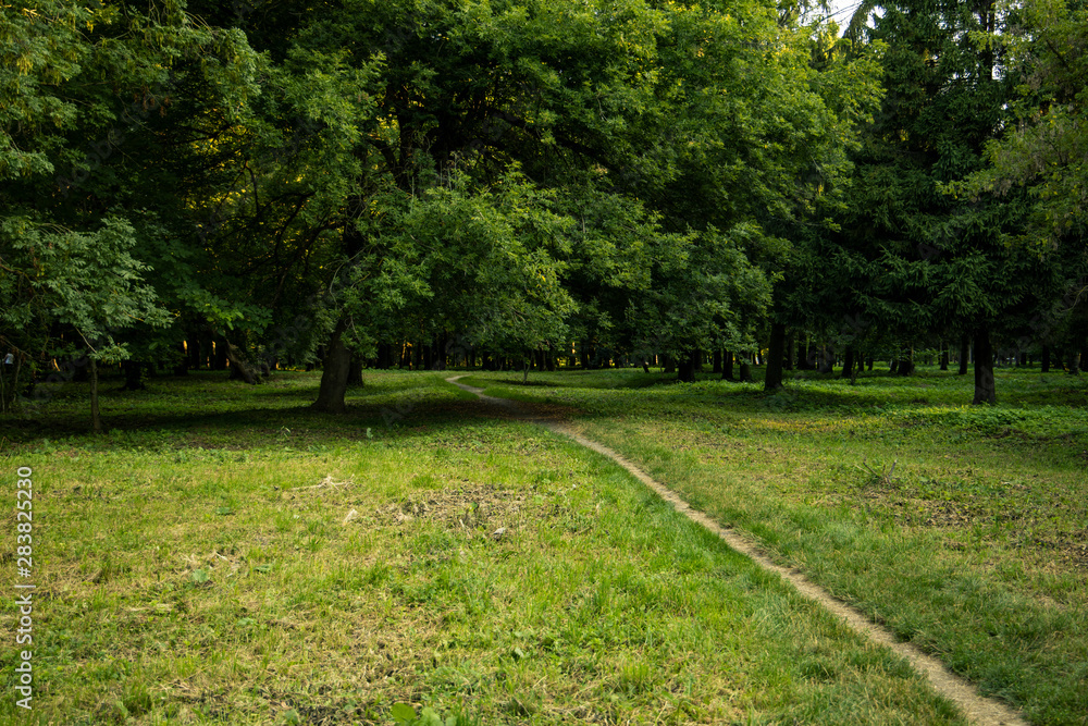usually park green trees and grass meadow summer scenic landscape with small lonely ground trail usually park green trees and grass meadow summer scenic landscape with small lonely ground trail