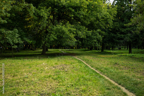 usually park green trees and grass meadow summer scenic landscape with small lonely ground trail 