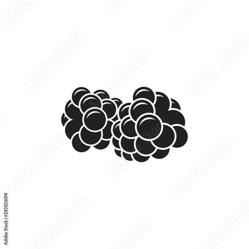 Blackberry. Fresh berries. Isolated blackberry on white background