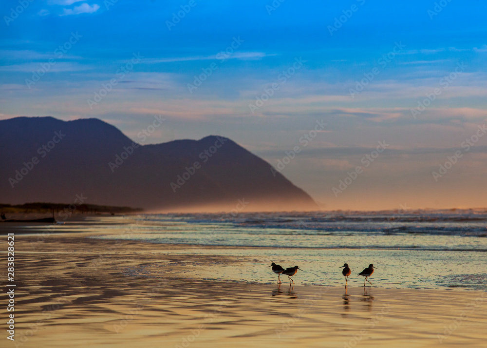 Fototapeta premium beach