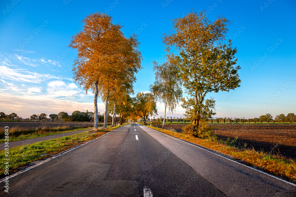 Fototapeta premium Road near Halsbek and Westerstede