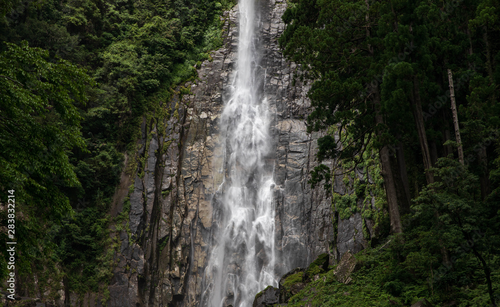Fototapeta premium Water splashes against rocks at forest waterfall