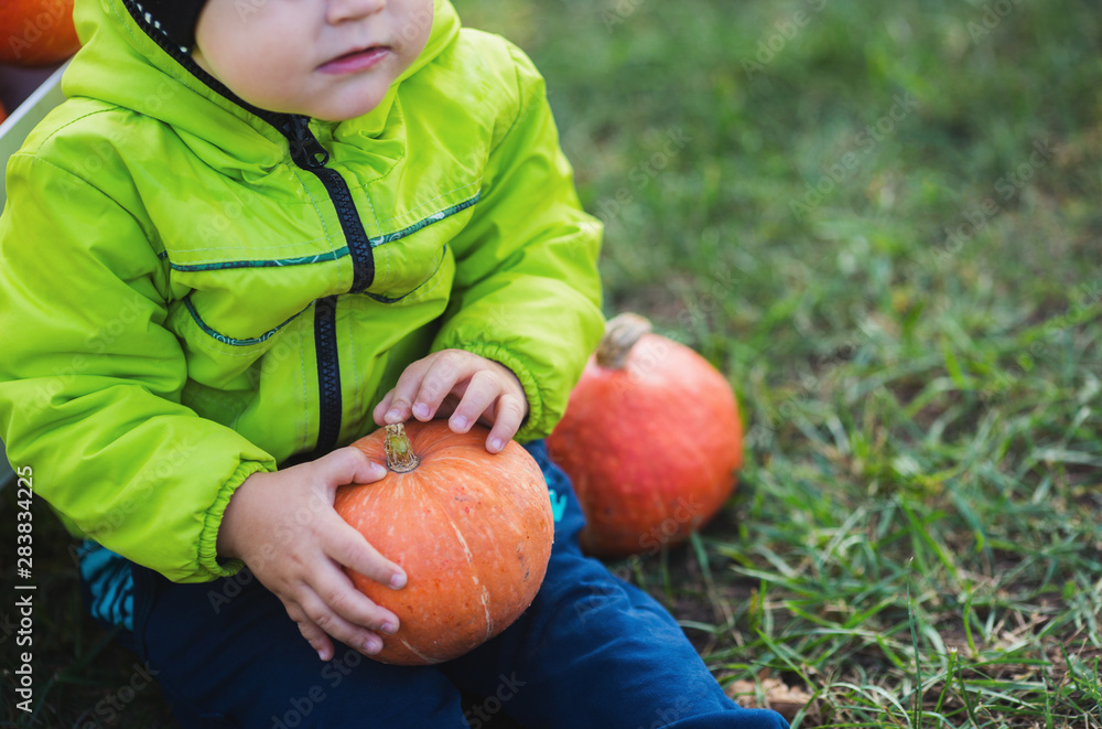Foto Toddler boy holding orange pumpkin and sitting on grass in the backyard
