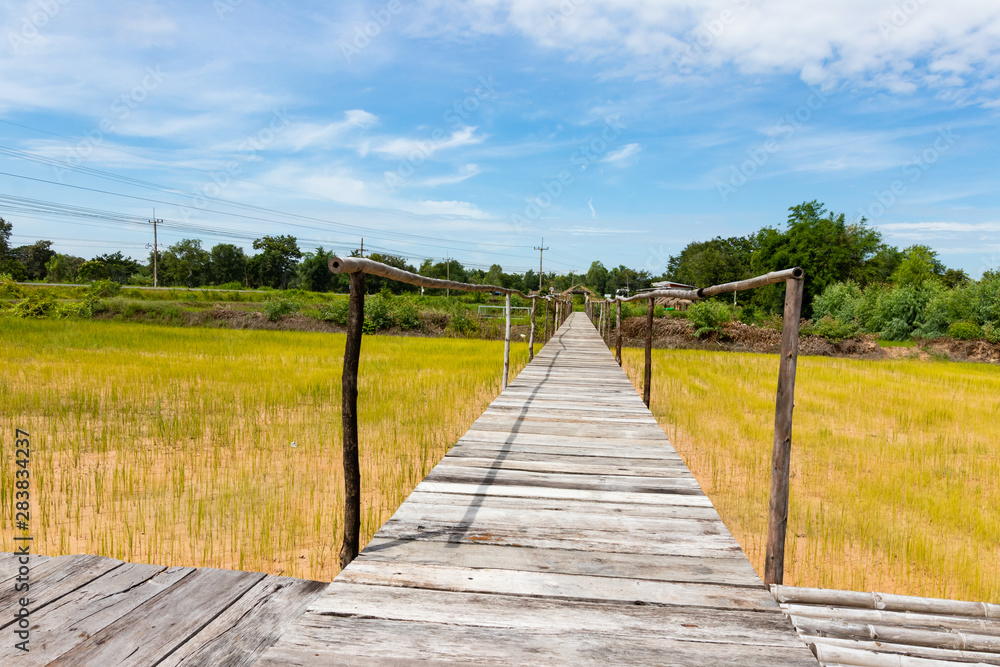 Wooden bridge walkway along concept for go to target Wooden bridge walkway along concept for go to target