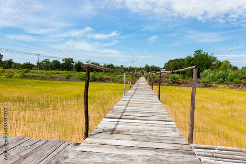 Fototapeta Naklejka Na Ścianę i Meble -  Wooden bridge walkway along concept for go to target