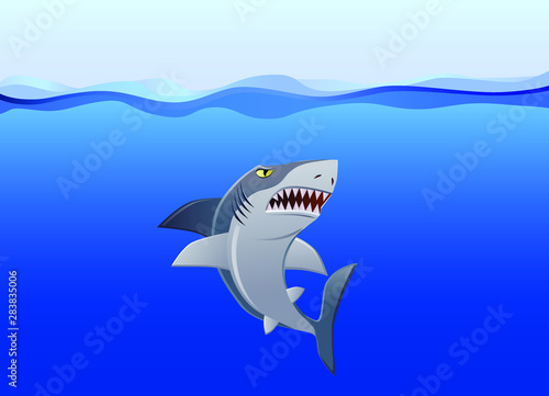 Great white shark under the ocean vector