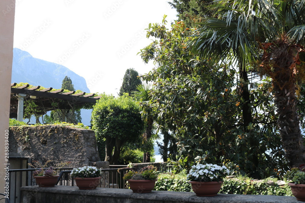 Garden in Lake Como