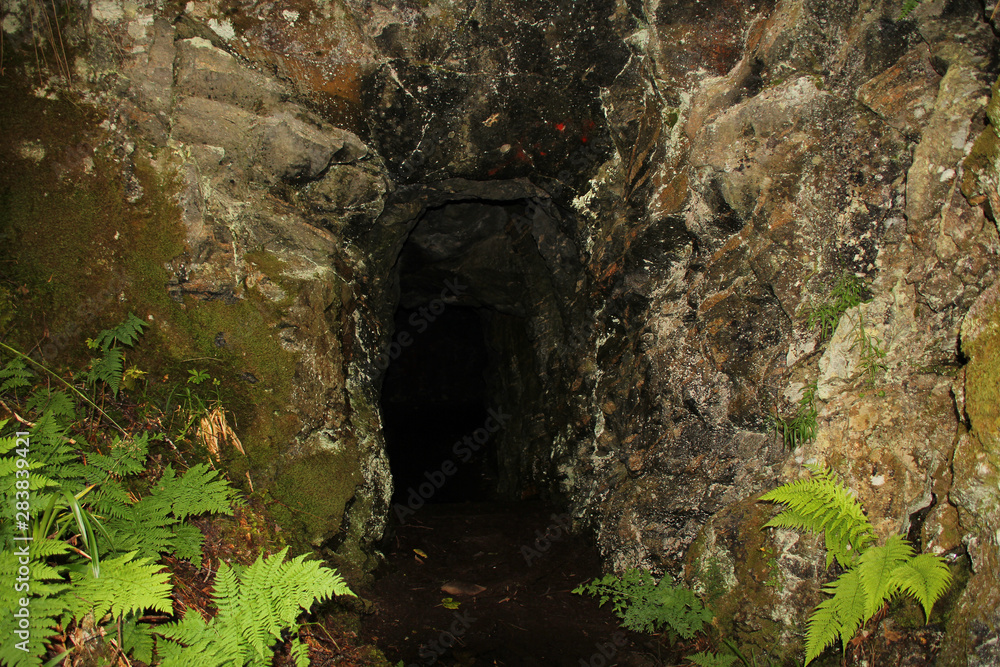 ancient, mysterious, dark stone cave in the mountains of Norway on the background of green ferns ancient, mysterious, dark stone cave in the mountains of Norway on the background of green ferns