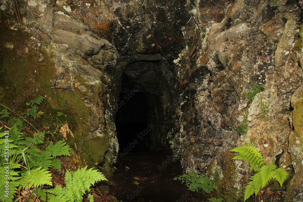 ancient, mysterious, dark stone cave in the mountains of Norway on the background of green ferns