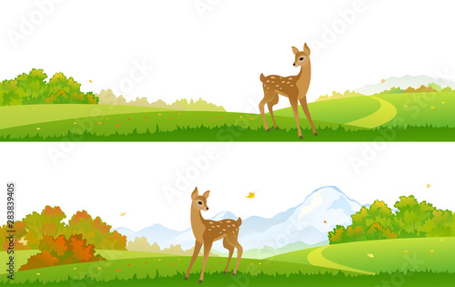 Vector drawing of autumn forest banners with a cute young deer
