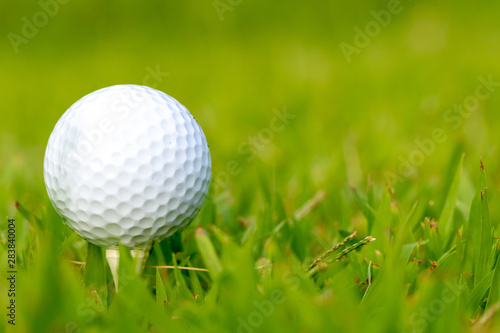 golf ball on tee, green grassy background with negative space right of the golf ball.