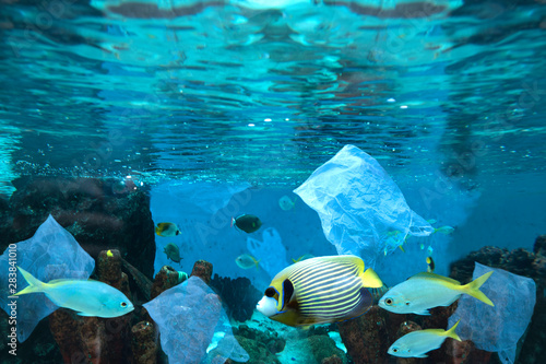 Photography Environmental pollution of plastic water bottle in the ocean
