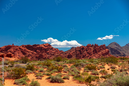 Slika na platnu Valley of Fire