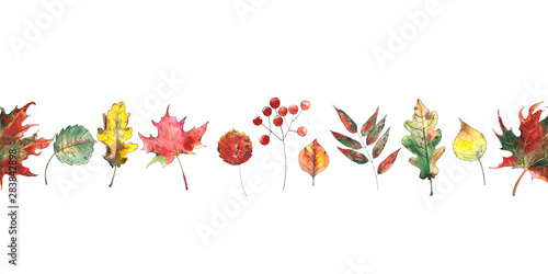Watercolor autumn seamless borders with bright leaves, mushrooms, berries, birds on white and black background
