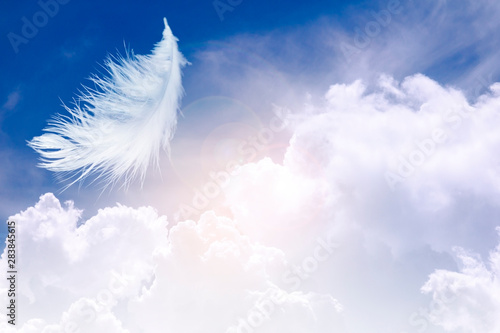 Wall Mural feather abstract background, white feather floating in the sky and cloud with in concept on heaven