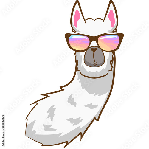 llama vector graphic clipart design