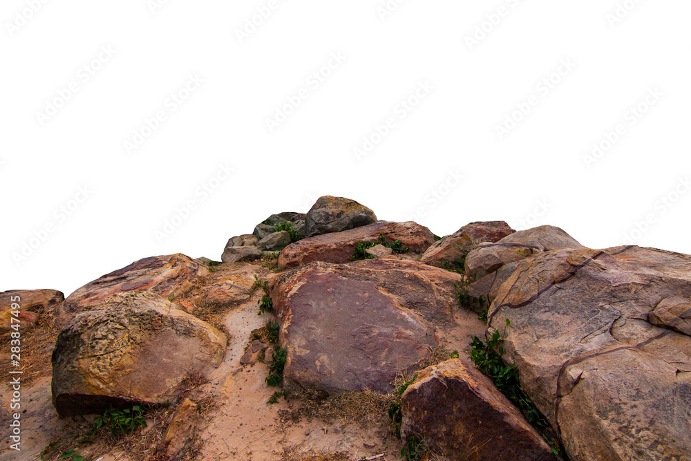 The trees.Rocks and Stone on the Mountain .Isolated on White background The trees.Rocks and Stone on the Mountain .Isolated on White background
