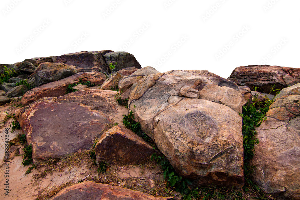 The trees.Rocks and Stone on the Mountain .Isolated on White background The trees.Rocks and Stone on the Mountain .Isolated on White background