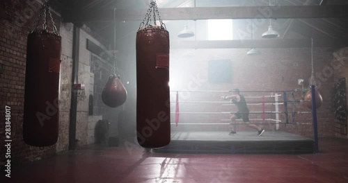 Adult male boxer stepping into the ring photo