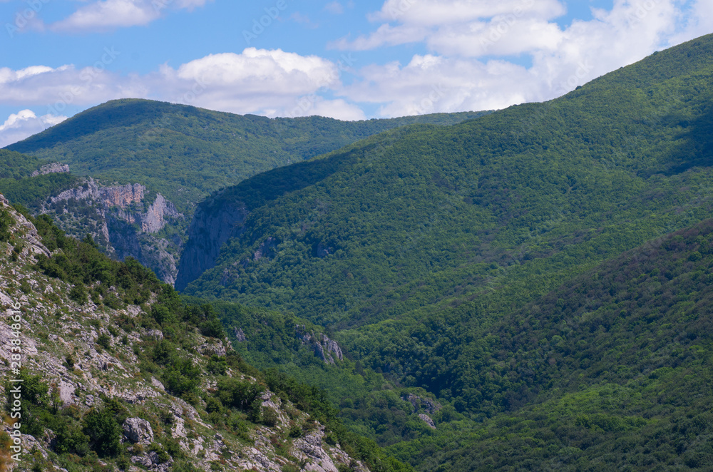 Panorama of mountainous and wooded areas on a sunny summer morning.