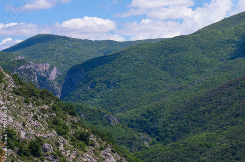 Panorama of mountainous and wooded areas on a sunny summer morning.