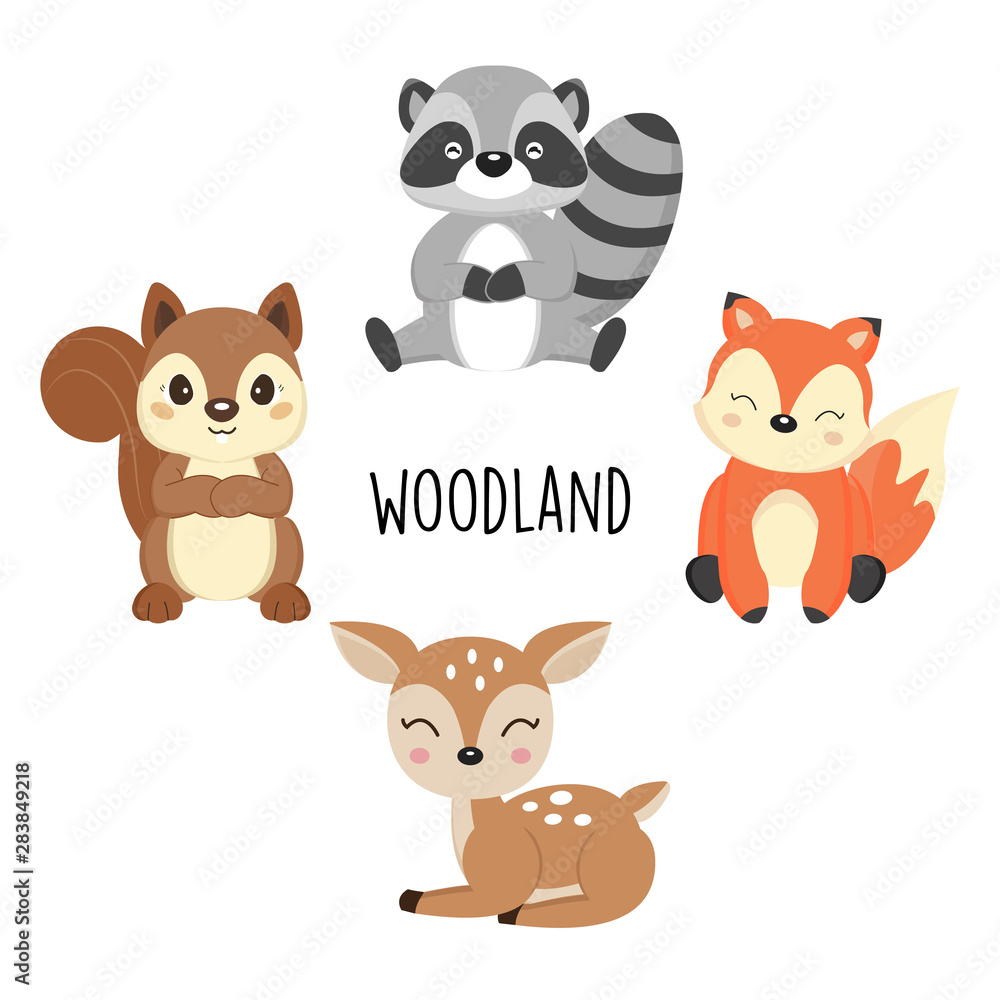 Cute woodland animals. Cute woodland animals.