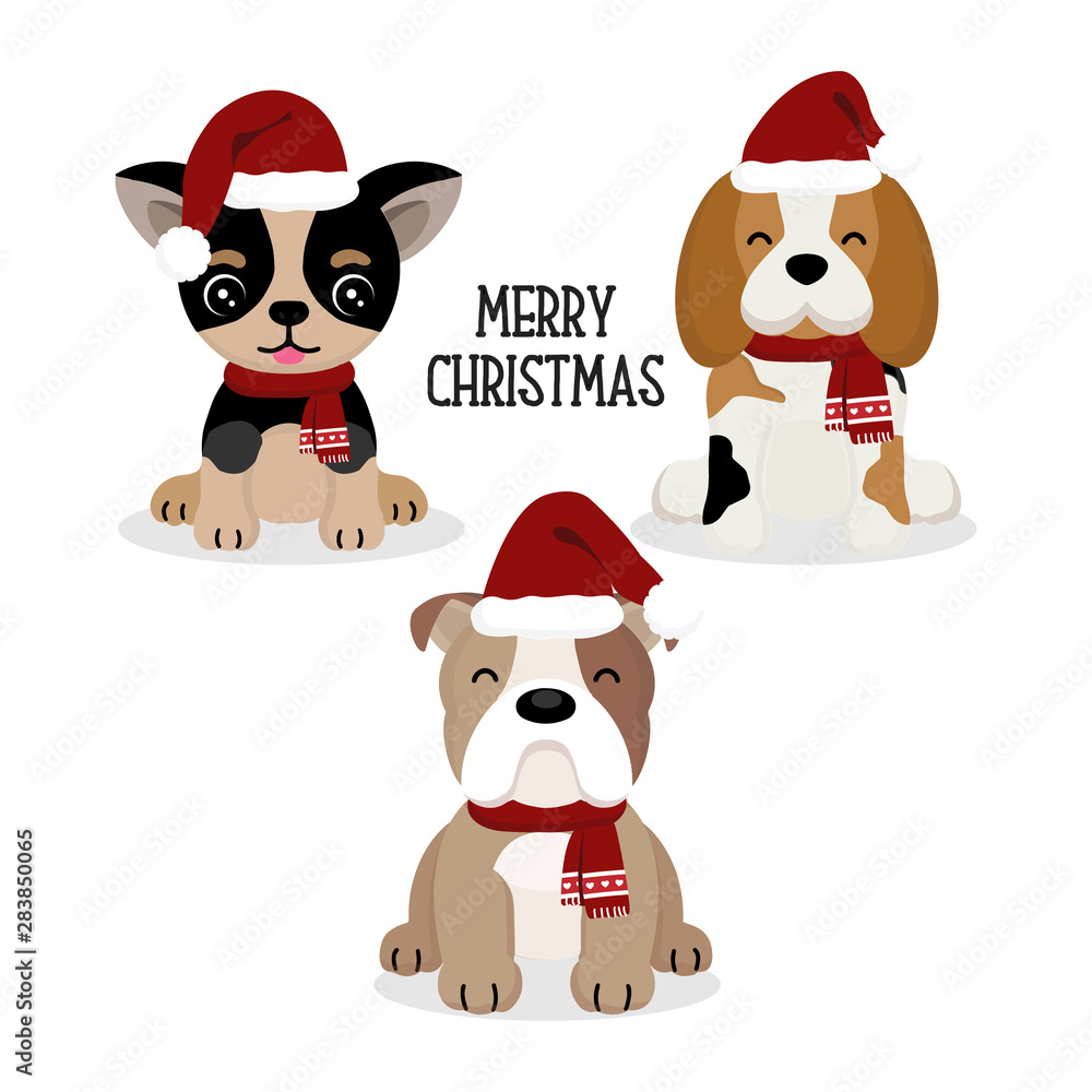 Cute Dog in Christmas hat. Cute Dog in Christmas hat.