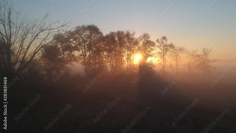 morning flight over autumn, yellow trees in the fog morning flight over autumn, yellow trees in the fog