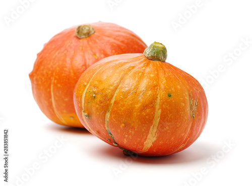 Orange pumpkin on white background 