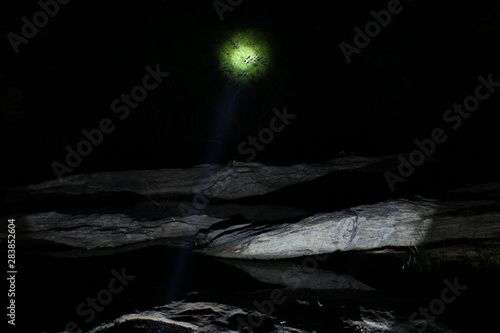 Wallpaper Mural nature, forest,trucking, Torontodigital.ca