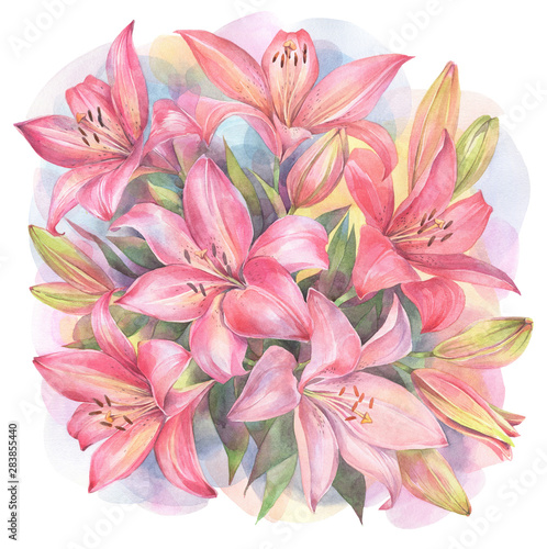 Floral composition with red and pink Lily flowers on colorful background. Hand painted watercolor illustration.