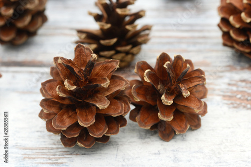 pine cones lying on wood