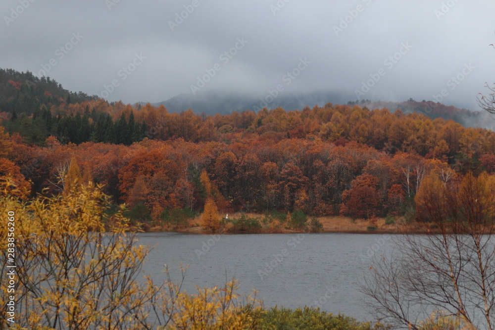 紅葉の山 恩原高原 紅葉の山 恩原高原