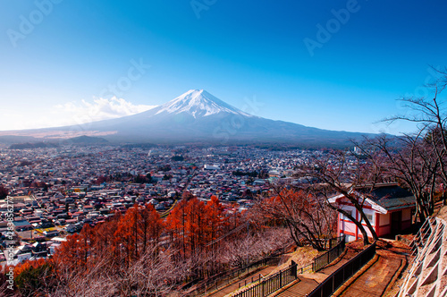 Snow covered Mount Fuji and blue sky autumn view from Chureito Pagoda park in Shimoyoshida - Fujiyoshida