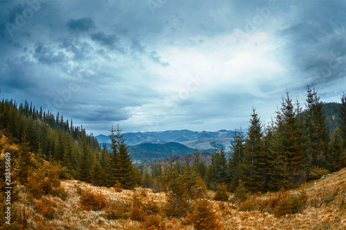 beautiful view of an autumn mountain landscape with a cloudy sky and pine woods.