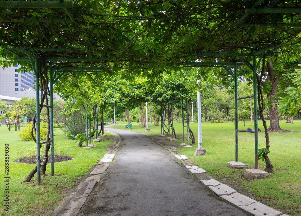 Garden walkways with natural looking trees Garden walkways with natural looking trees