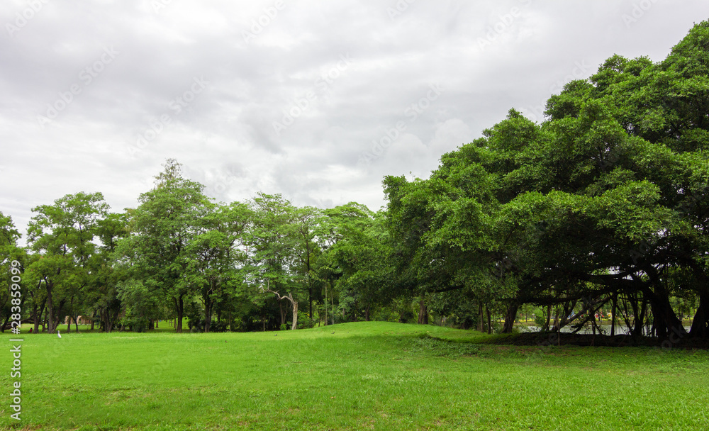 The grass field and the trees in the park are bright green. The grass field and the trees in the park are bright green.
