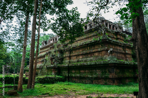 An amazing temple in Angkor  Siem Reap  Cambodia covered by vegetation - UNESCO World Heritage Site 1992