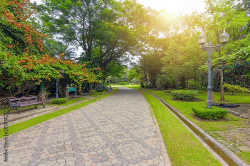 Fototapeta Naklejka Na Ścianę i Meble -  Garden walkways surrounded by green trees